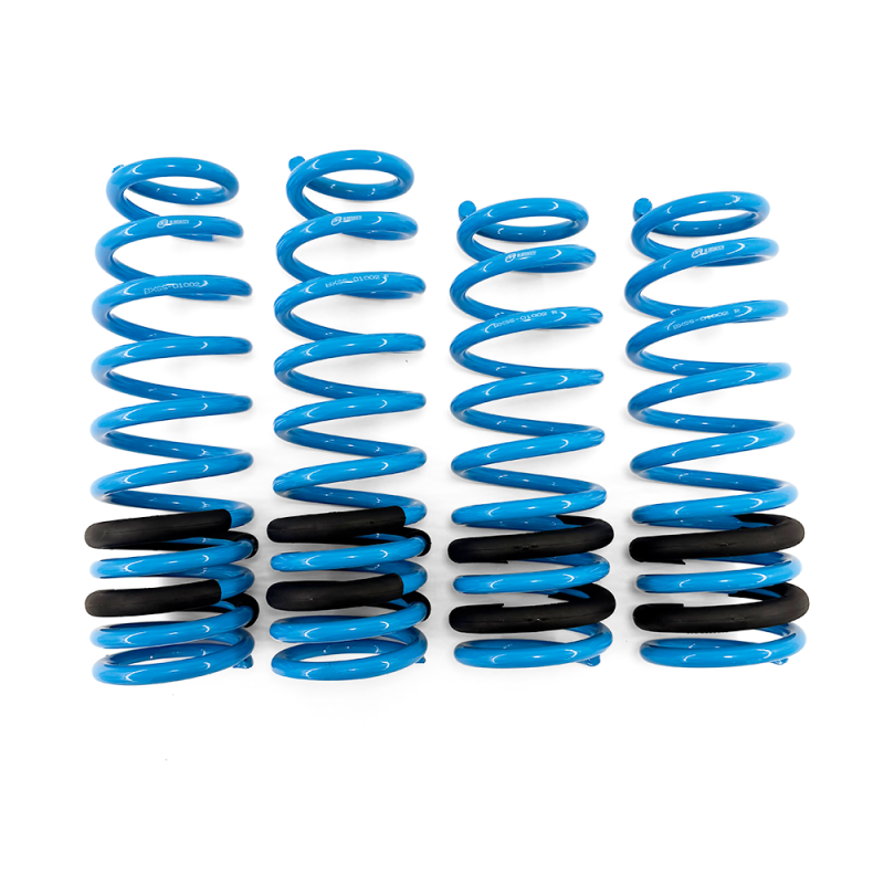 BLOX Racing Lowering Springs 96-00 Honda Civic