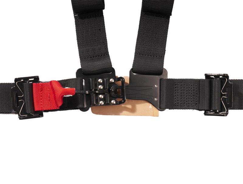 Photo - Close Up