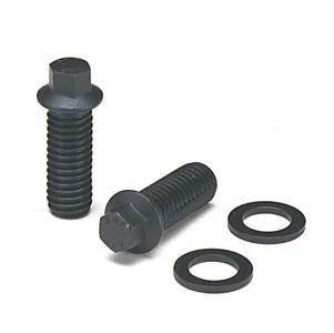 ARP 3/8 x .750 SS 12pt Header Bolt Kit