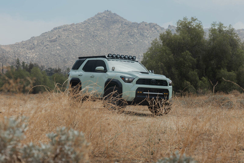 DV8 Offroad 25-26 Toyota 4Runner Exterior Window Molles (Use w/ PN dveRRTF3-02) - Passenger