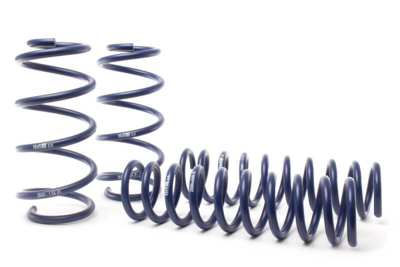 H&R 14-19 Ford Escape (2WD/4WD) 4 Cyl/V6 Adventure Raising Spring