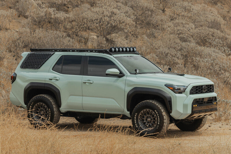 DV8 Offroad 25-26 Toyota 4Runner Exterior Window Molles (Use w/ PN dveRRTF3-02) - Passenger